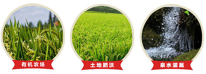 大米二维码防伪追溯系统