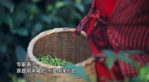 “一饼茶叶可以买一辆宝马”专家表示茶是用来喝的，不是用来炒的